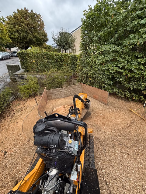 Gelbes Motorrad in einem Garten mit Hecken und Metallwänden, bewölkter Himmel im Hintergrund.